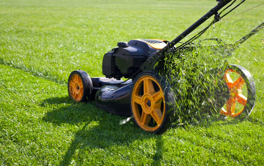 Lawn mower mower grass equipment mowing gardener care work tool