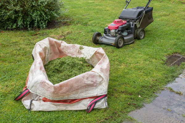 Mowing while bagging grass in Arlington, Texas