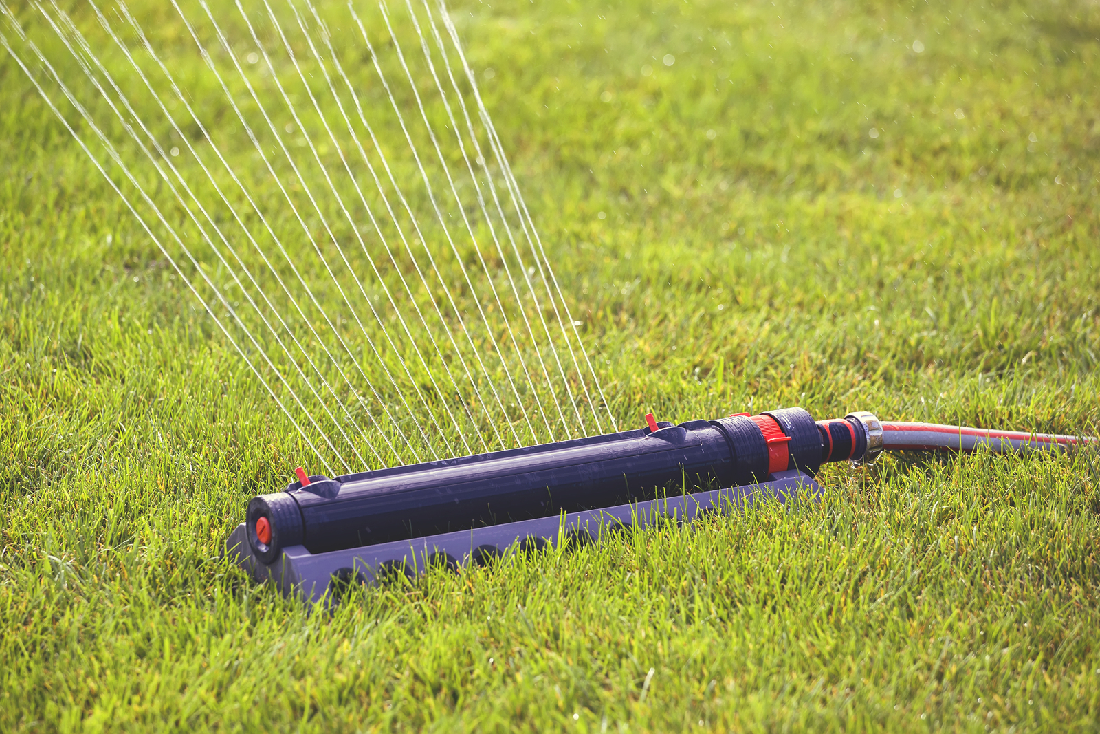Watering your yard in Arlington, Texas