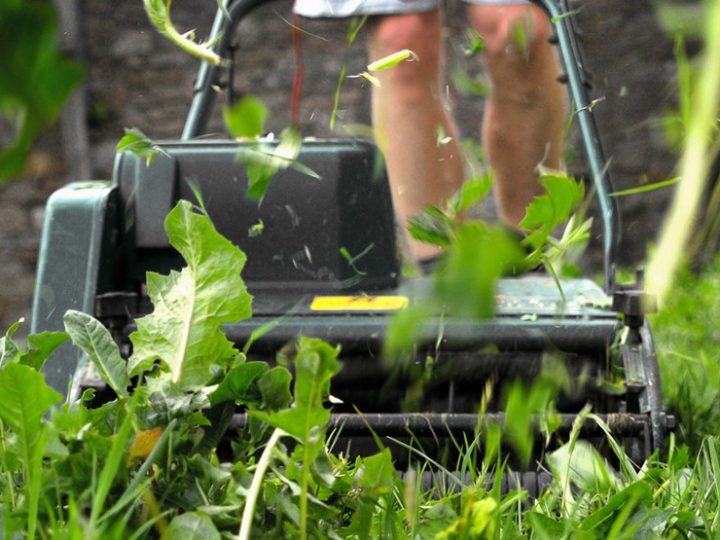 Getting Your Lawn Mower Ready For The Growing Season