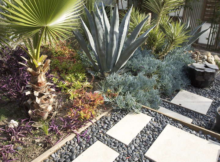 How Xeriscaping Can Change Your Texas Yard For Years To Come